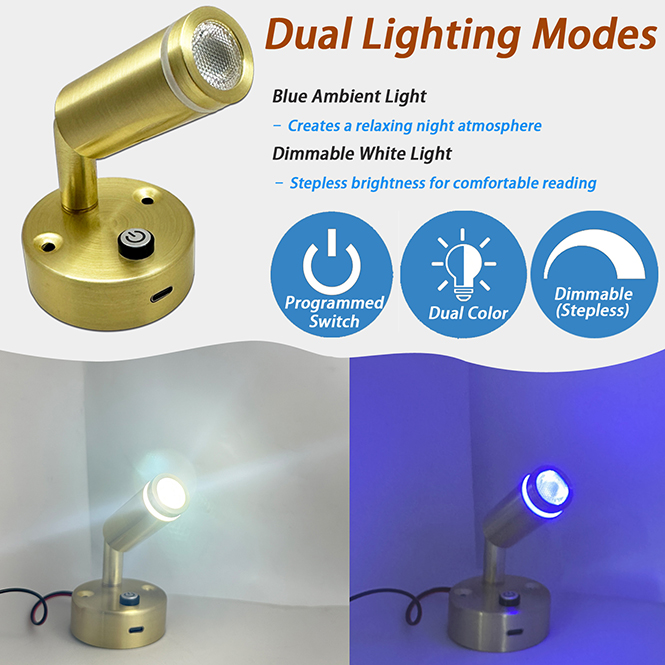 dual-lighting-reading-lights-12v.jpg
